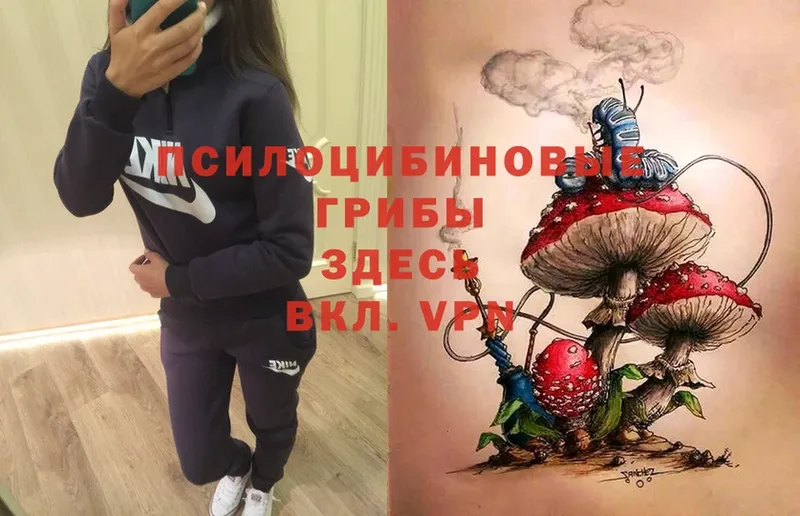 Псилоцибиновые грибы Magic Shrooms  сайты даркнета клад  Себеж 